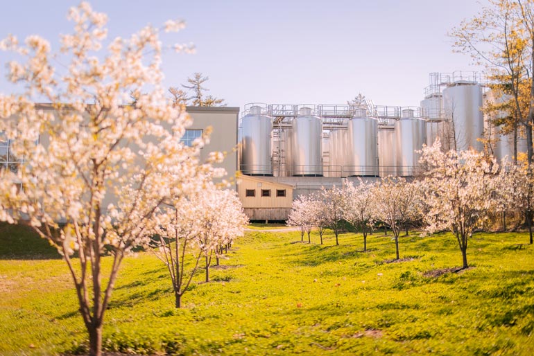 allagash brewing co orchard