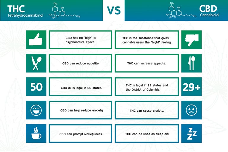 Differences Between THC and THCa