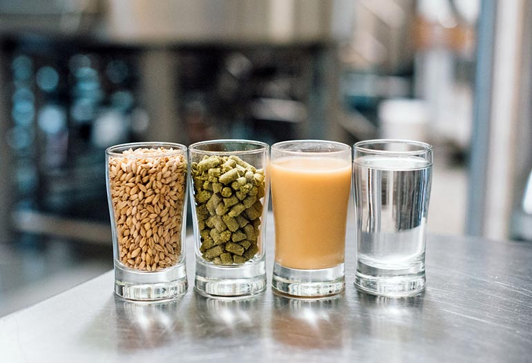 hops pellets, water, grain and beer in small glasses