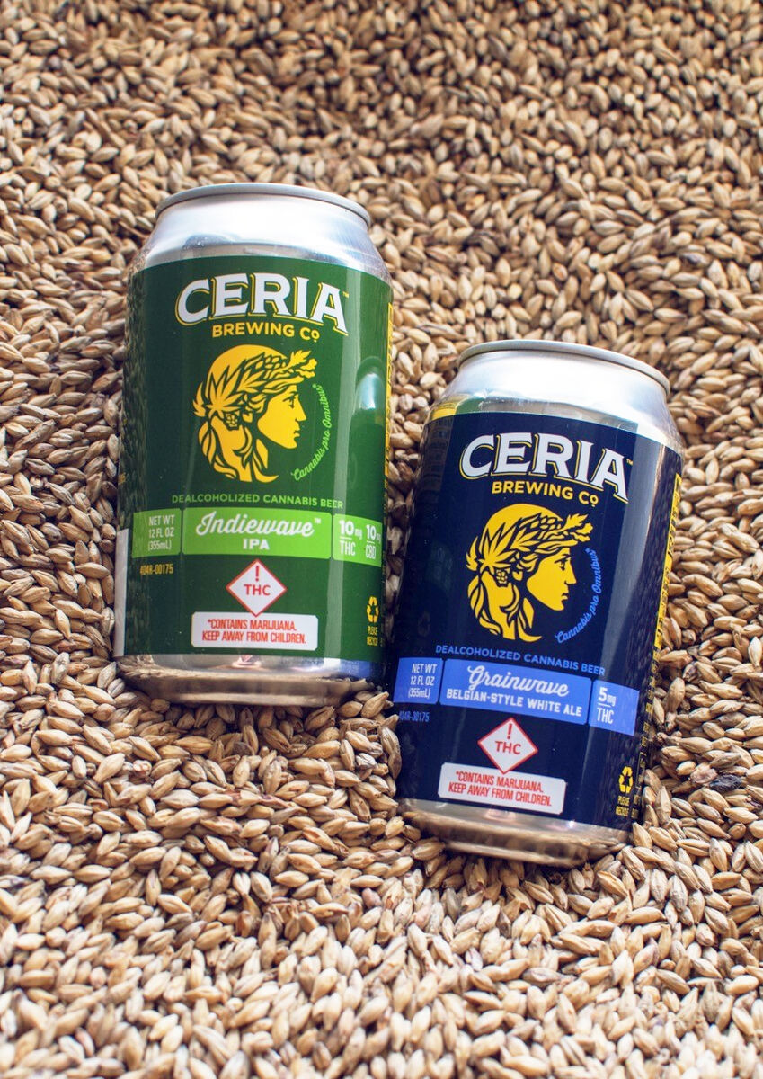 ceria brewing in pile of grains