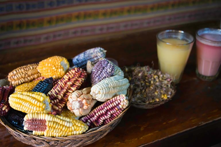 chicha in glasses next to a bowl of multicolored maize