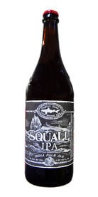 squall ipa dogfish head beer