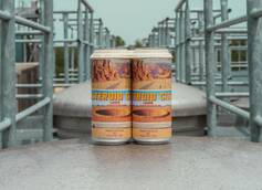 Dogfish Head Craft Brewery Launches Asteroid City Lager, Inspired by Wes Anderson's New Film